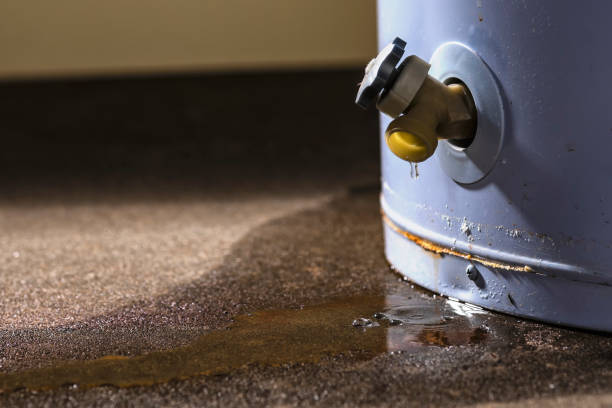 Best Basement water damage restoration  in Bovina, TX