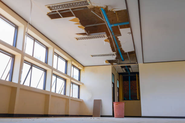 Best Commercial water damage restoration  in Bovina, TX