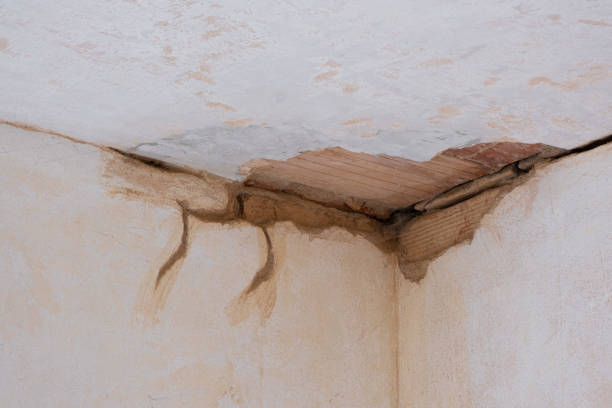 Best Local water damage restoration  in Bovina, TX