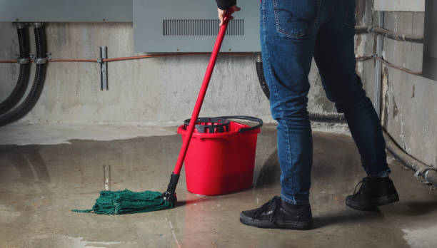 Best Carpet water damage restoration  in Bovina, TX