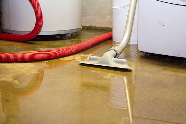 Best Sewage cleanup and water damage restoration  in Bovina, TX